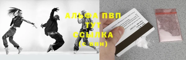 гашик Майский
