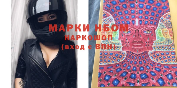 гашик Майский