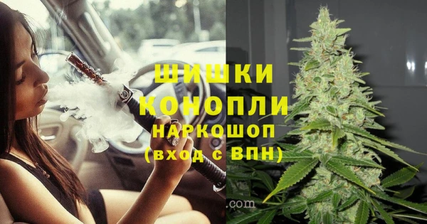 эйфоретик Магадан