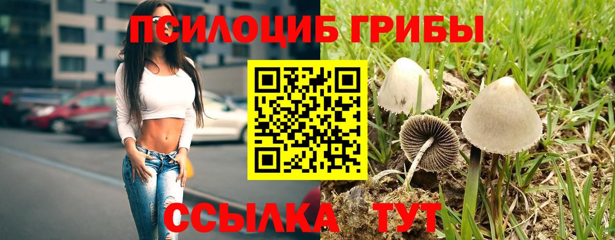 Галлюциногенные грибы MAGIC MUSHROOMS  Вход с VPN  Камень-на-Оби 