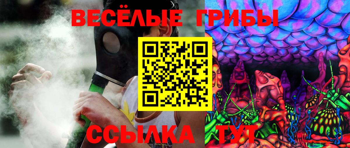 Галлюциногенные грибы ЛСД Камень-на-Оби