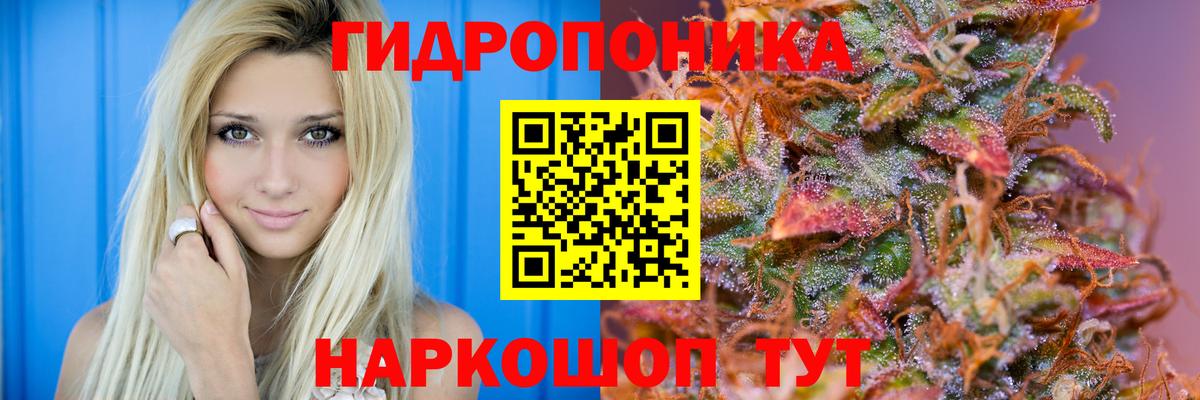 МАРИХУАНА Bruce Banner  Вход с VPN  МАРИХУАНА планчик  Камень-на-Оби 